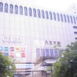 平成２５年５月１９日薫風櫻花塾八王子支部発足一周年運動