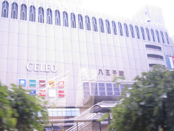 平成２５年５月１９日薫風櫻花塾八王子支部発足一周年運動