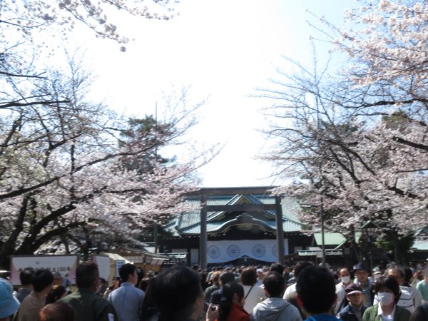 平成３０年３月２５日定例運動[メディア問題]